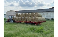 PALAZOGLU 10 TON