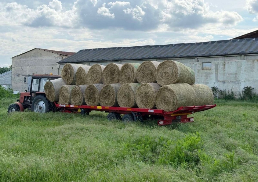PALAZOGLU 10 TON